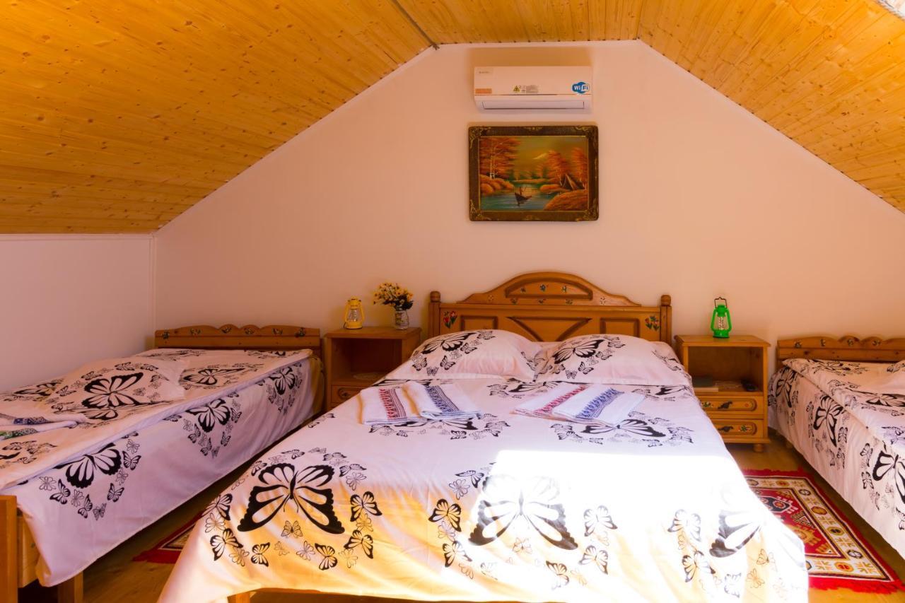 Casa De Vacanta Marya Baia de Fier Eksteriør bilde