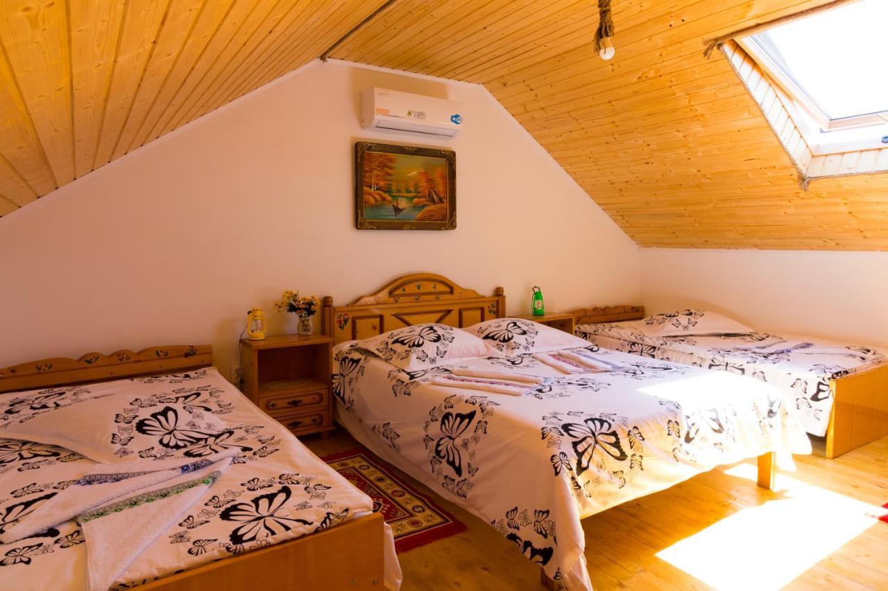 Casa De Vacanta Marya Baia de Fier Eksteriør bilde