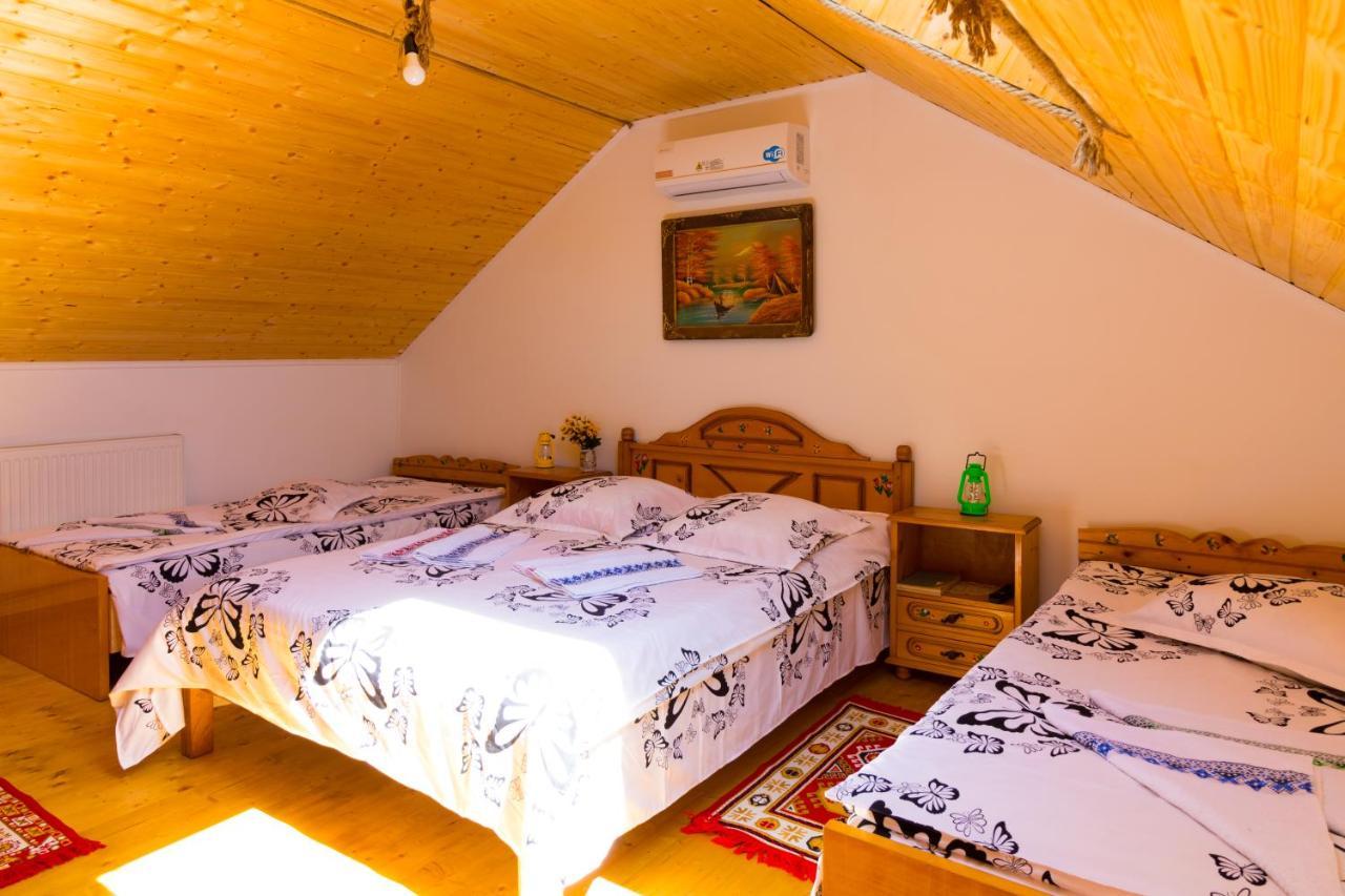 Casa De Vacanta Marya Baia de Fier Eksteriør bilde