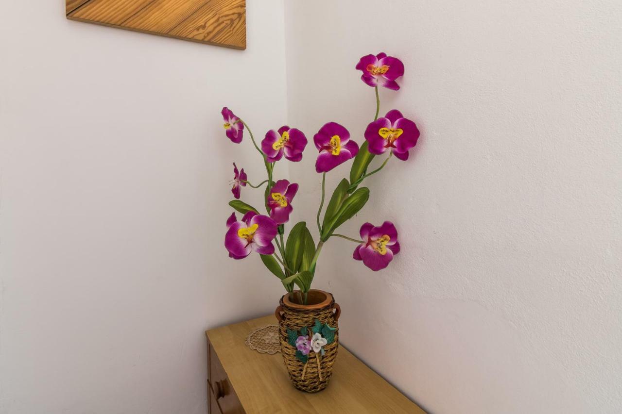 Casa De Vacanta Marya Baia de Fier Eksteriør bilde